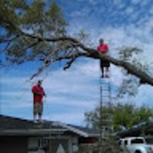 Meet your Posher, Antonio